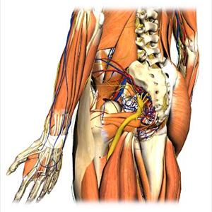 Sciatic Exercises For Pain - 3 Questions On Sciatica - Do You Know The "Right" Answers?